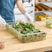 A person wearing gloves and holding a clear plastic food pan filled with salad.