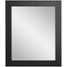 A BrandtWorks black rectangular mirror with a white border.