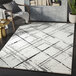 An Abani Casa Collection cream and gray area rug with a crosshatch design in a room.