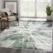 A green and gray contemporary splash area rug in a room with a plant and wooden chair.