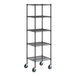 A black metal Regency wire shelving unit with wheels.