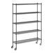 A black Regency wire shelving unit with wheels.