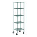 A green Regency wire shelving unit with casters.