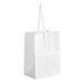 A white paper bag with a handle.