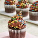 A chocolate cupcake with Adourne Bold Confetti Sequin Sprinkles on top.