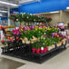 A black plastic Benchmaster display with five steps holding plants.