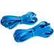 Two blue cables plugged into a Main Street Equipment Carel controller.