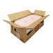 A white cardboard box with a pink plastic G.S. Gelato container inside.