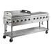 A Backyard Pro stainless steel outdoor griddle with two burners.