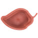 A red polyethylene bowl with a small hole in it.