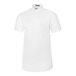 A white Henry Segal short sleeve oxford shirt with a collar.