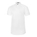 A Henry Segal white short sleeve oxford shirt with a collar.
