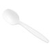 A white plastic soup spoon with a handle.