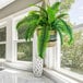 An LCG Sales artificial Boston fern in a tri-color hanging basket hanging from a ceiling.