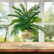 A 30" artificial Phoenix Palm in a hanging basket on a wooden table.