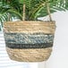 A close-up of a 30" artificial Phoenix palm in a woven tri-color hanging basket.