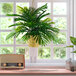 An artificial Phoenix Palm in a hanging basket next to a window.