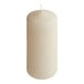 A case of 12 ivory Hollowick wax pillar candles.