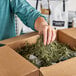 A person holding a box of green Spring-Fill Olive Crinkle Cut paper shred.