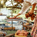 A woman cooking meat on a BREEO stainless steel grill over a fire.