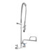 A T&S chrome wall-mounted pre-rinse faucet with hose and hand sprayer.