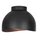 A black metal Canarm ceiling light with a circular shade.