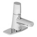 A silver LakeCrest metering faucet with a push button cap and 6" deck plate.