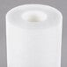 A white roll of Everpure 9534-12 equivalent prefilter water sediment cartridge.