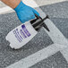 A person in a blue glove using a Chapin industrial acetone pump sprayer.