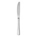 A RAK Youngstown Kampton stainless steel dinner knife with a silver handle on a white background.