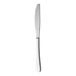 A RAK Youngstown Kampton stainless steel dessert knife with a silver handle on a white background.