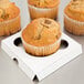 A white Baker's Mark cupcake insert holding a single muffin.
