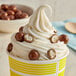 A cup of ice cream with Albanese milk chocolate covered pretzel balls.