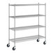 A Regency stainless steel wire shelving unit with wheels.