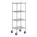 A Regency stainless steel wire shelving unit with wheels.