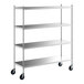 A Regency stainless steel mobile shelving starter kit with wheels and 4 shelves.