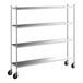 A Regency stainless steel shelving unit with wheels.