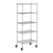 A Regency stainless steel wire shelving starter kit with wheels and 5 shelves.