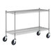 A Regency stainless steel wire shelf with wheels.