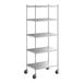 A Regency stainless steel mobile shelving unit with wheels.