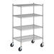 A Regency stainless steel wire shelving unit with wheels and four shelves.