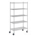 A Regency stainless steel wire shelving unit with wheels.