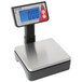 A Taylor digital portion scale with a blue screen.