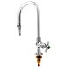 T&S BL-5705-01 Single Ledge Lab Faucet with Rigid Gooseneck