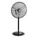 A large black Boltic 30" oscillating pedestal fan.