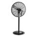 A black Boltic 30" oscillating pedestal fan on a stand.