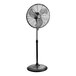 A black Boltic 20" 3-speed oscillating pedestal fan on a stand.