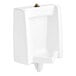An American Standard white vitreous china urinal with a gold screw.