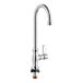 An American Standard deck-mount pantry faucet with a chrome finish and black handle.