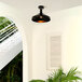 A Globe matte black outdoor flush mount light with a potted plant underneath.